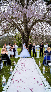 Enchanted Package Deal - Crystal Doll Bridal